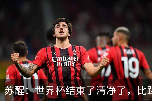 苏醒：世界杯结束了清净了，比踢到一半就淘汰的那种清净好