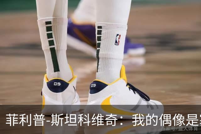 菲利普-斯坦科维奇：我的偶像是塞萨尔和汉达诺维奇