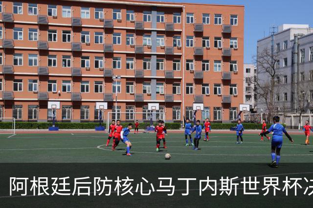 阿根廷后防核心马丁内斯世界杯决赛伤退 奥塔门迪替补登场